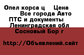 Опел корса ц  › Цена ­ 10 000 - Все города Авто » ПТС и документы   . Ленинградская обл.,Сосновый Бор г.